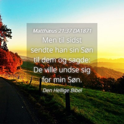 Picture 04 - Matthæus 21:37 DA1871 - Men til sidst sendte han sin Søn til dem og - Bible Verse Picture