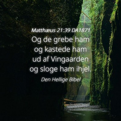 Picture 04 - Matthæus 21:39 DA1871 - Og de grebe ham og kastede ham ud af Vingaarden - Bible Verse Picture