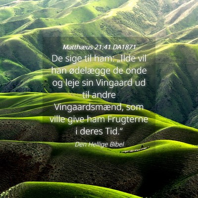 Picture 04 - Matthæus 21:41 DA1871 - De sige til ham: „Ilde vil han ødelægge de - Bible Verse Picture