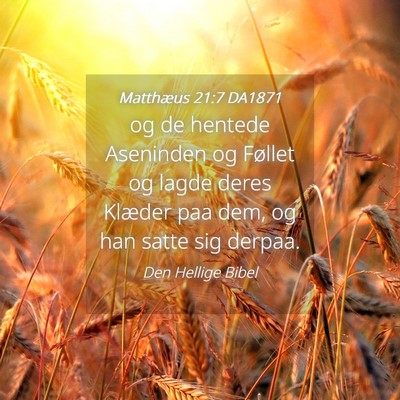 Picture 04 - Matthæus 21:7 DA1871 - og de hentede Aseninden og Føllet og lagde deres - Bible Verse Picture