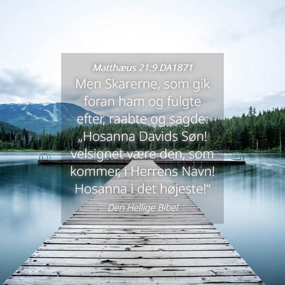 Picture 04 - Matthæus 21:9 DA1871 - Men Skarerne, som gik foran ham og fulgte efter, - Bible Verse Picture