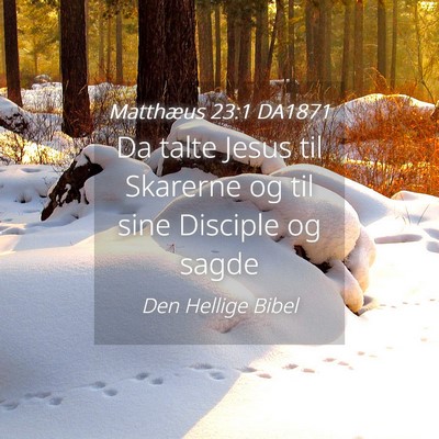 Picture 04 - Matthæus 23:1 DA1871 - Da talte Jesus til Skarerne og til sine Disciple - Bible Verse Picture