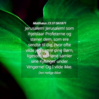 Picture 04 - Matthæus 23:37 DA1871 - Jerusalem! Jerusalem! som ihjelslaar Profeterne - Bible Verse Picture
