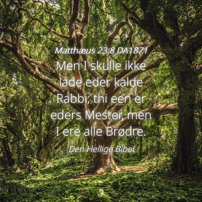Picture 04 - Matthæus 23:8 DA1871 - Men I skulle ikke lade eder kalde Rabbi; thi een - Bible Verse Picture
