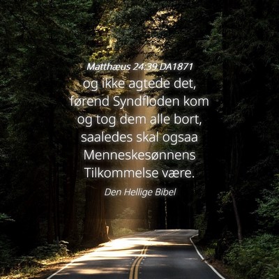 Picture 04 - Matthæus 24:39 DA1871 - og ikke agtede det, førend Syndfloden kom og tog - Bible Verse Picture