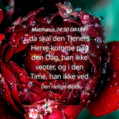 Picture 04 - Matthæus 24:50 DA1871 - da skal den Tjeners Herre komme paa den Dag, han - Bible Verse Picture