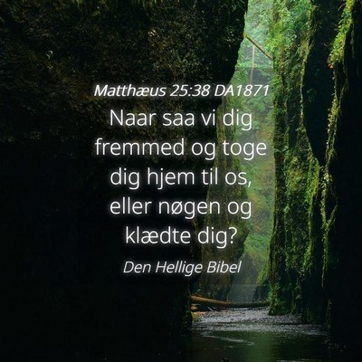 Picture 04 - Matthæus 25:38 DA1871 - Naar saa vi dig fremmed og toge dig hjem til os, - Bible Verse Picture