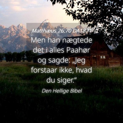 Picture 04 - Matthæus 26:70 DA1871 - Men han nægtede det i alles Paahør og sagde: - Bible Verse Picture