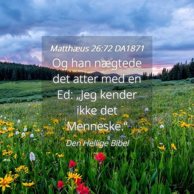 Picture 04 - Matthæus 26:72 DA1871 - Og han nægtede det atter med en Ed: „Jeg - Bible Verse Picture