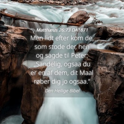 Picture 04 - Matthæus 26:73 DA1871 - Men lidt efter kom de, som stode der, hen og - Bible Verse Picture