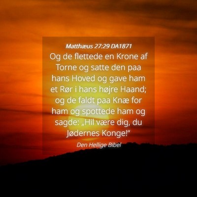 Picture 04 - Matthæus 27:29 DA1871 - Og de flettede en Krone af Torne og satte den paa - Bible Verse Picture