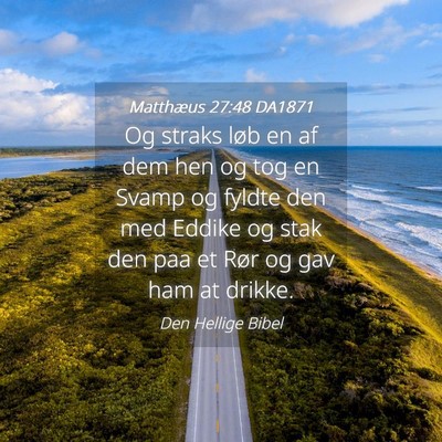 Picture 04 - Matthæus 27:48 DA1871 - Og straks løb en af dem hen og tog en Svamp og - Bible Verse Picture