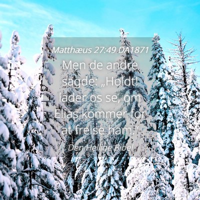 Picture 04 - Matthæus 27:49 DA1871 - Men de andre sagde: „Holdt! lader os se, om - Bible Verse Picture