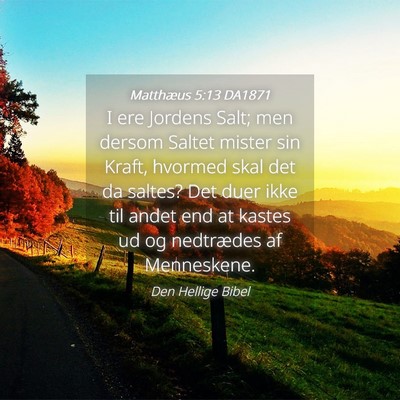 Picture 04 - Matthæus 5:13 DA1871 - I ere Jordens Salt; men dersom Saltet mister sin - Bible Verse Picture