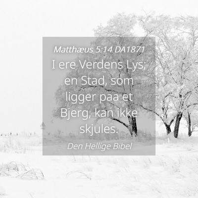 Picture 04 - Matthæus 5:14 DA1871 - I ere Verdens Lys; en Stad, som ligger paa et - Bible Verse Picture