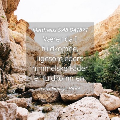 Picture 04 - Matthæus 5:48 DA1871 - Værer da I fuldkomne, ligesom eders himmelske - Bible Verse Picture