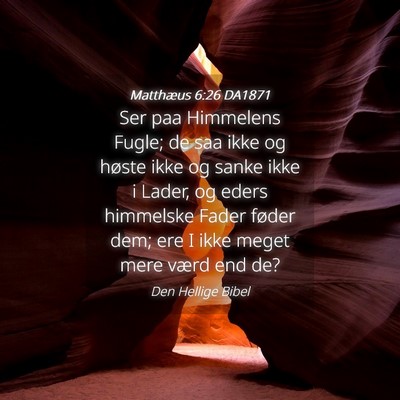 Picture 04 - Matthæus 6:26 DA1871 - Ser paa Himmelens Fugle; de saa ikke og høste - Bible Verse Picture