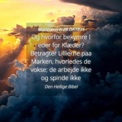 Picture 04 - Matthæus 6:28 DA1871 - Og hvorfor bekymre I eder for Klæder? Betragter - Bible Verse Picture