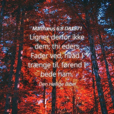 Picture 04 - Matthæus 6:8 DA1871 - Ligner derfor ikke dem; thi eders Fader ved, hvad - Bible Verse Picture
