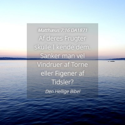 Picture 04 - Matthæus 7:16 DA1871 - Af deres Frugter skulle I kende dem. Sanker man - Bible Verse Picture
