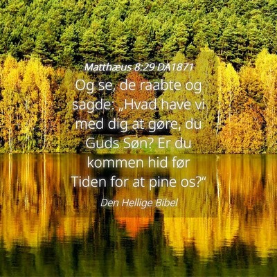 Picture 04 - Matthæus 8:29 DA1871 - Og se, de raabte og sagde: „Hvad have vi med - Bible Verse Picture