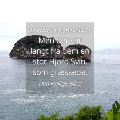 Picture 04 - Matthæus 8:30 DA1871 - Men der var langt fra dem en stor Hjord Svin, som - Bible Verse Picture