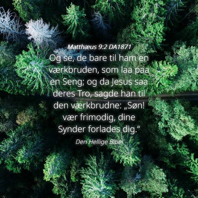 Picture 04 - Matthæus 9:2 DA1871 - Og se, de bare til ham en værkbruden, som laa - Bible Verse Picture