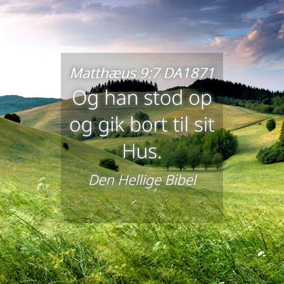 Picture 04 - Matthæus 9:7 DA1871 - Og han stod op og gik bort til sit - Bible Verse Picture
