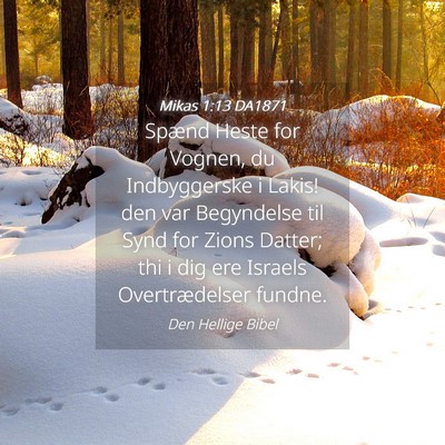 Picture 04 - Mikas 1:13 DA1871 - Spænd Heste for Vognen, du Indbyggerske i Lakis! - Bible Verse Picture