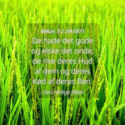 Picture 04 - Mikas 3:2 DA1871 - De hade det gode og elske det onde; de rive deres - Bible Verse Picture