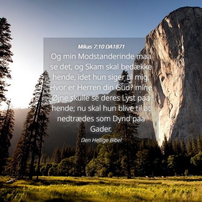 Picture 04 - Mikas 7:10 DA1871 - Og min Modstanderinde maa se det, og Skam skal - Bible Verse Picture