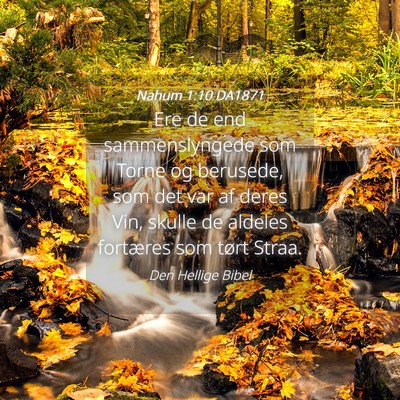Picture 04 - Nahum 1:10 DA1871 - Ere de end sammenslyngede som Torne og berusede, - Bible Verse Picture
