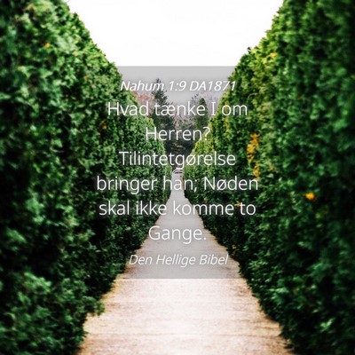 Picture 04 - Nahum 1:9 DA1871 - Hvad tænke I om Herren? Tilintetgørelse bringer - Bible Verse Picture