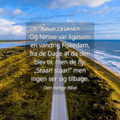 Picture 04 - Nahum 2:9 DA1871 - Og Ninive var ligesom en vandrig Fiskedam, fra de - Bible Verse Picture