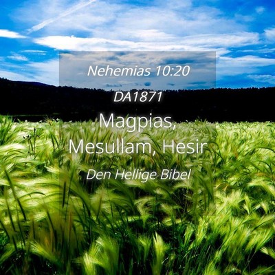 Picture 04 - Nehemias 10:20 DA1871 - Magpias, Mesullam, - Bible Verse Picture