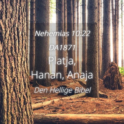Picture 04 - Nehemias 10:22 DA1871 - Platja, Hanan, - Bible Verse Picture