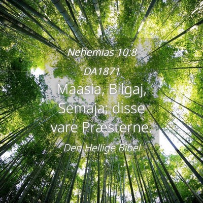 Picture 04 - Nehemias 10:8 DA1871 - Maasia, Bilgaj, Semaja; disse vare - Bible Verse Picture