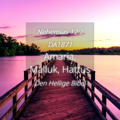 Picture 04 - Nehemias 12:2 DA1871 - Amaria, Malluk, - Bible Verse Picture