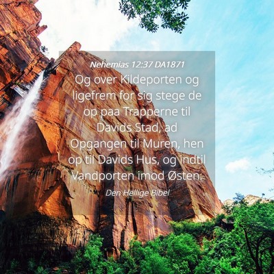 Picture 04 - Nehemias 12:37 DA1871 - Og over Kildeporten og ligefrem for sig stege de - Bible Verse Picture