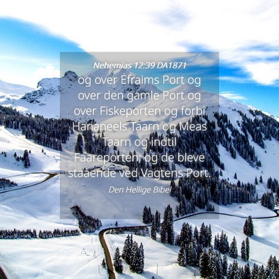 Picture 04 - Nehemias 12:39 DA1871 - og over Efraims Port og over den gamle Port og - Bible Verse Picture