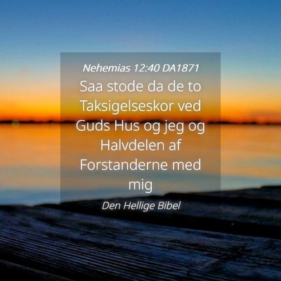 Picture 04 - Nehemias 12:40 DA1871 - Saa stode da de to Taksigelseskor ved Guds Hus og - Bible Verse Picture