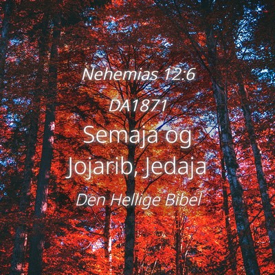 Picture 04 - Nehemias 12:6 DA1871 - Semaja og Jojarib, - Bible Verse Picture