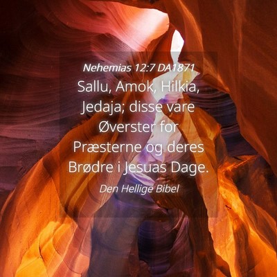 Picture 04 - Nehemias 12:7 DA1871 - Sallu, Amok, Hilkia, Jedaja; disse vare Øverster - Bible Verse Picture