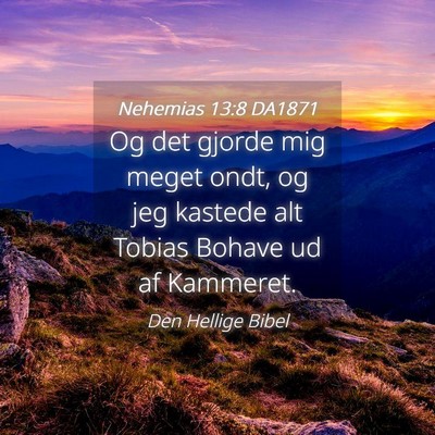 Picture 04 - Nehemias 13:8 DA1871 - Og det gjorde mig meget ondt, og jeg kastede alt - Bible Verse Picture