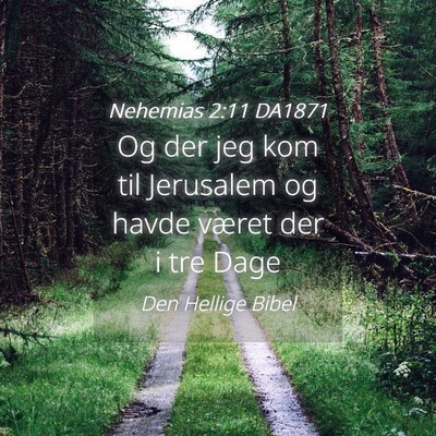 Picture 04 - Nehemias 2:11 DA1871 - Og der jeg kom til Jerusalem og havde været der - Bible Verse Picture