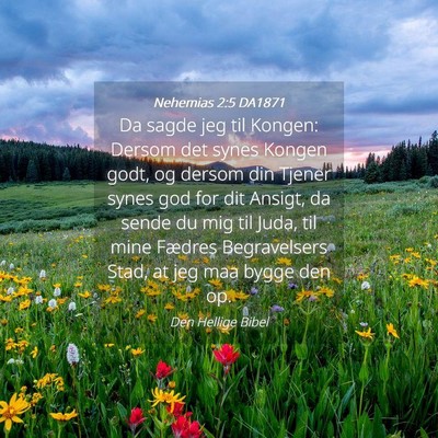 Picture 04 - Nehemias 2:5 DA1871 - Da sagde jeg til Kongen: Dersom det synes Kongen - Bible Verse Picture