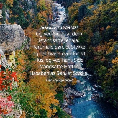 Picture 04 - Nehemias 3:10 DA1871 - Og ved Siden af dem istandsatte Jedaja, Harumafs - Bible Verse Picture