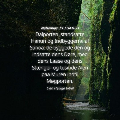 Picture 04 - Nehemias 3:13 DA1871 - Dalporten istandsatte Hanun og Indbyggerne af - Bible Verse Picture