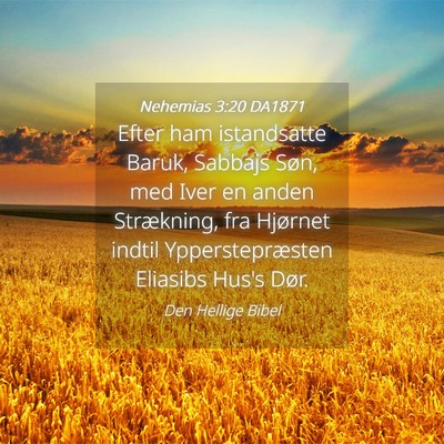 Picture 04 - Nehemias 3:20 DA1871 - Efter ham istandsatte Baruk, Sabbajs Søn, med - Bible Verse Picture