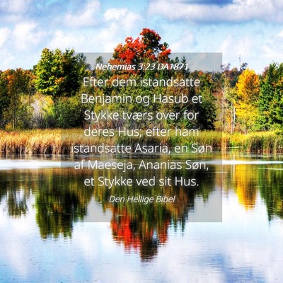 Picture 04 - Nehemias 3:23 DA1871 - Efter dem istandsatte Benjamin og Hasub et Stykke - Bible Verse Picture